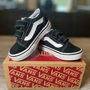 Old Skool Vans w Box
